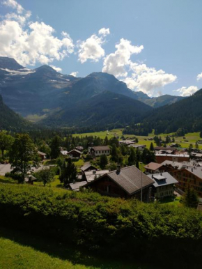 Studio avec vue splendide sur les Diablerets